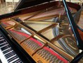 /album/fotogaleria-el-instrumento/a220px-steinway-grand-piano-interior-jpg/